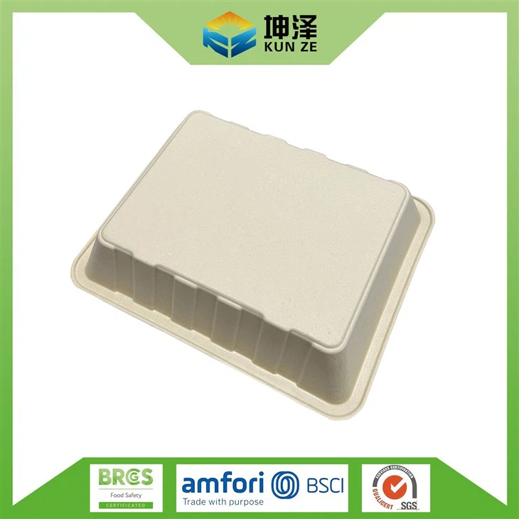 Biodegradable Meat Trays