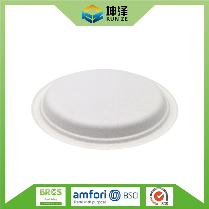 Environmentally Friendly Paper Plates