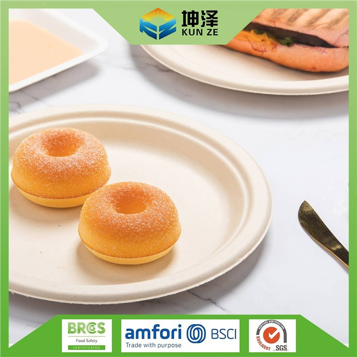 Environmentally Friendly Paper Plates