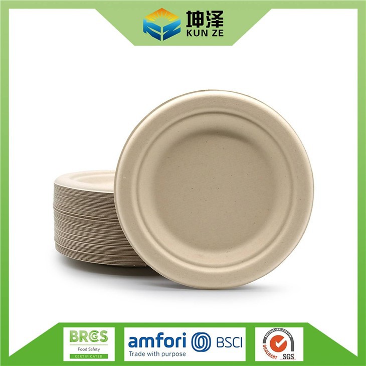 Environmentally Friendly Paper Plates