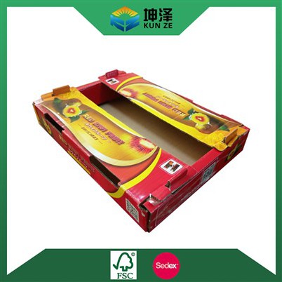 Kotak Kadbod Buah Kiwi