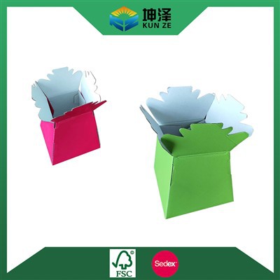 Pasu Bunga Kotak Kadbod