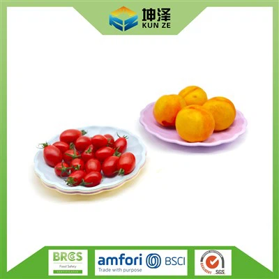 Pinggan Parti Berwarna-warni