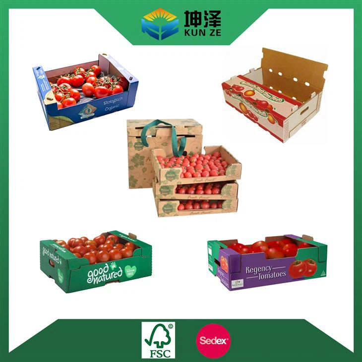 Kotak Tomato Kadbod