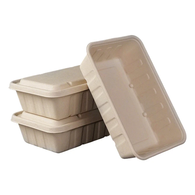 Disposable Lunch Boxes