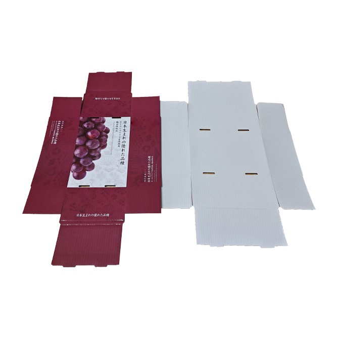 Grape Box factory