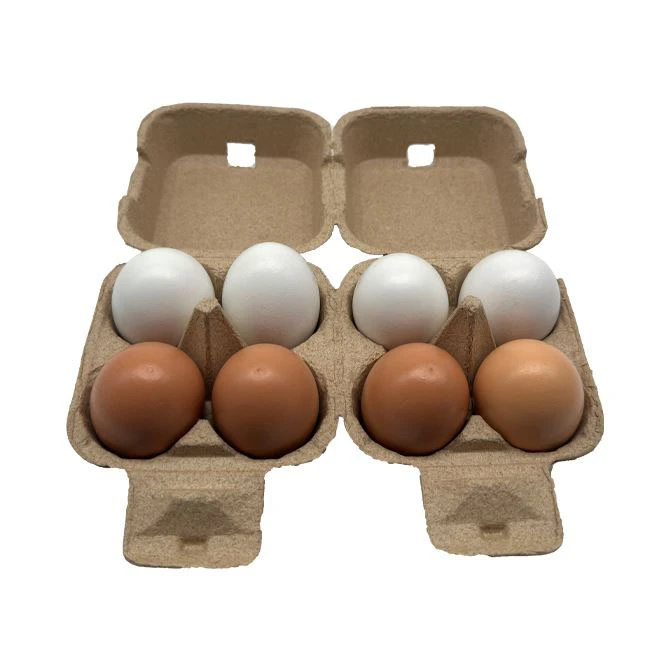 Paper Pulp Egg Box