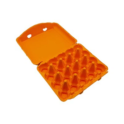 Karton Telur Berwarna