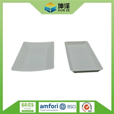 Plat Bagasse segi empat tepat